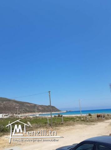 Une belle maison a haouaria plage