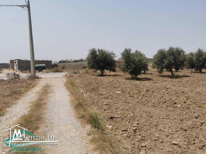 VT638:Terrain d’habitation 250 m² à cité mirdès 2 Kelibia