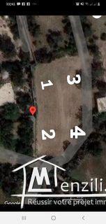 terrain akouda ارض اكودة