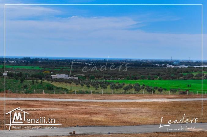 A vendre des terrains à Hammamet  prix raisonnable