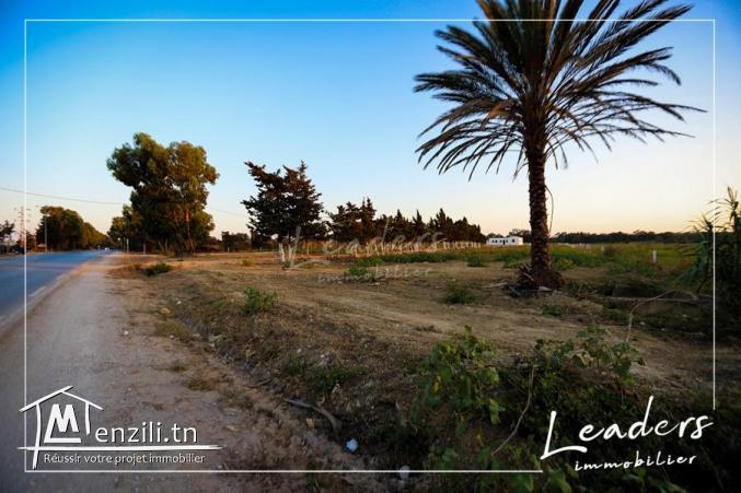 A vendre des terrains à klibia  prix raisonable