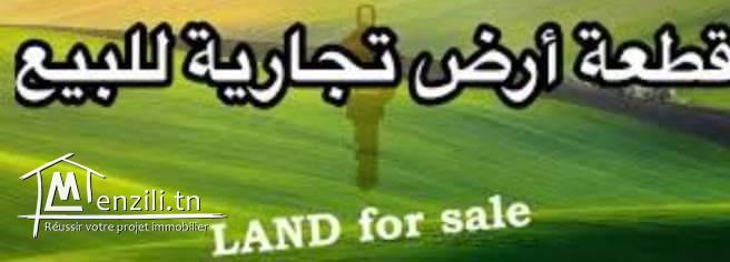 Terrain commercial Yeser arafet Sahloul