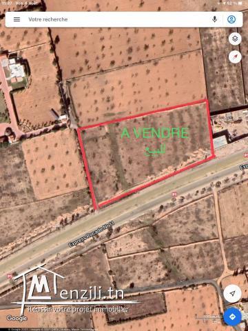 Terrain verger fruitier constructible