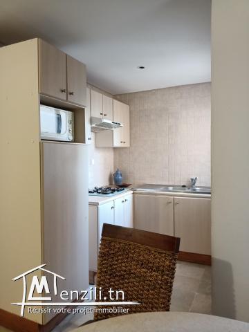 Appartement meublé à louer