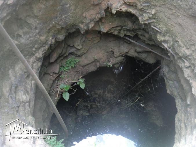 1000m² a vendre situé a dar allouch