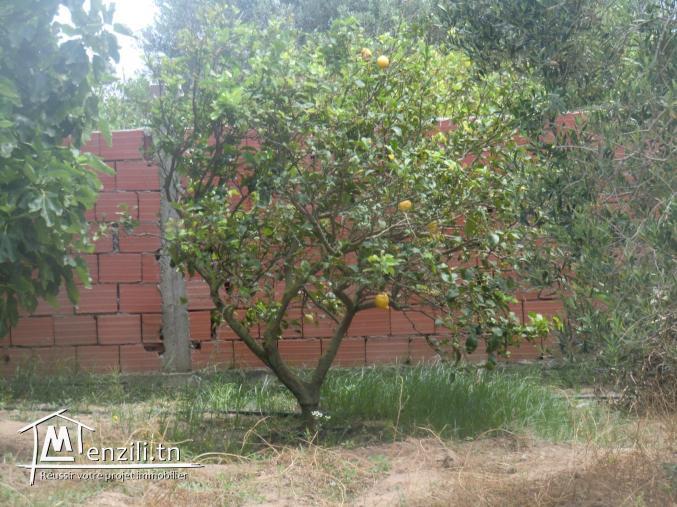 1000m² a vendre situé a dar allouch