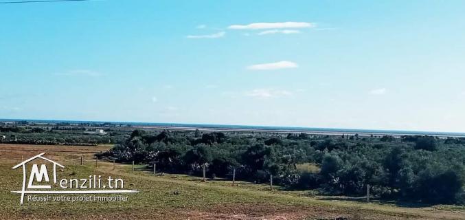 terrain a vendre bouficha