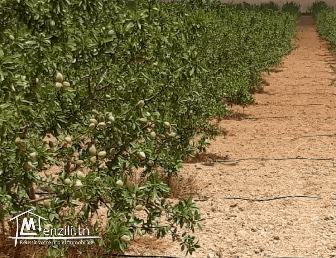 à la vente une très belle ferme  d une superficie de 6,5 hectars