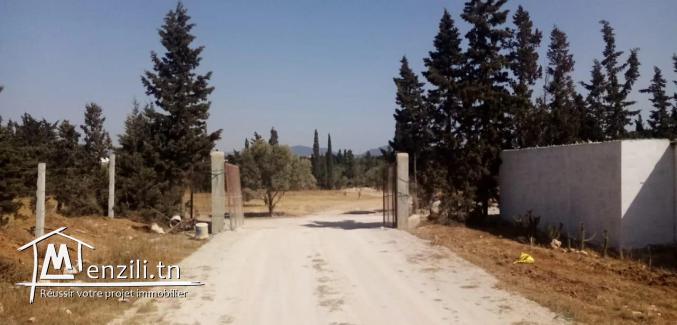 terrain à jinen de bonne orientation