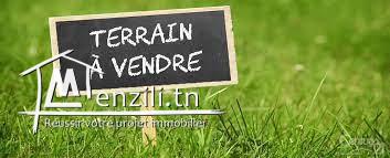 terrain a basanite  Yasmine Hammamet