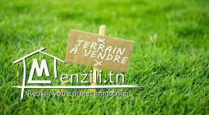 terrain prés de Yasmine hammamet