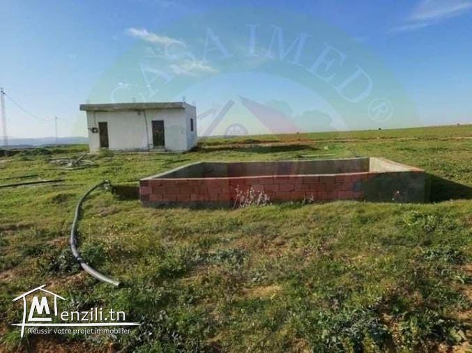 terrain à Menzel Brahim