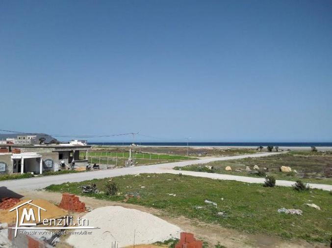 terrain à Dar allouche kélibia de nebeul