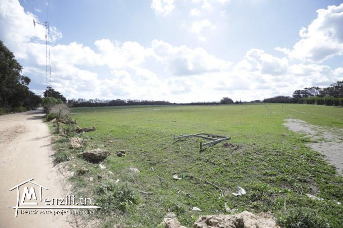 lotissement pied sur l'eau