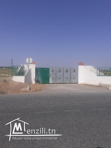 A vendre des lots de terrain A Borj El Amri