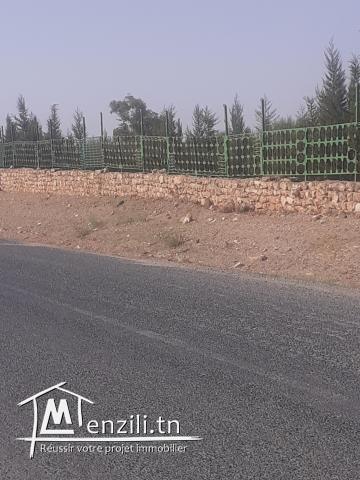 A vendre des lots de terrain A Borj El Amri