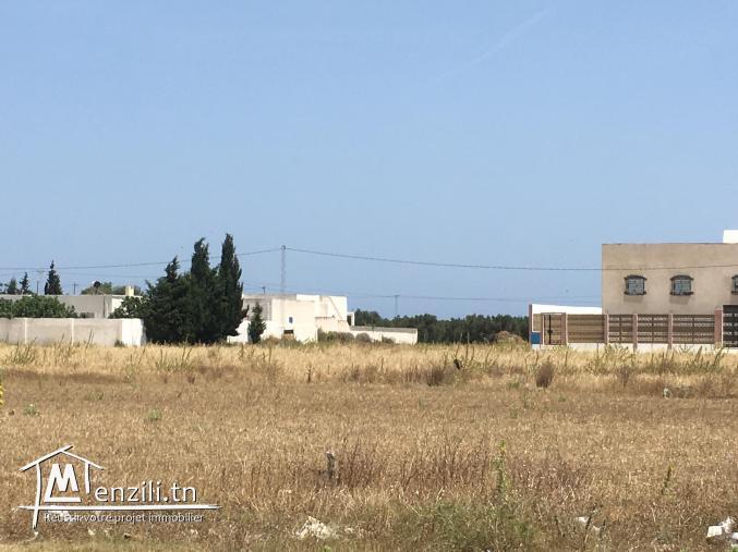 Terrain à Hmmamet Sud à 600 m de la plage