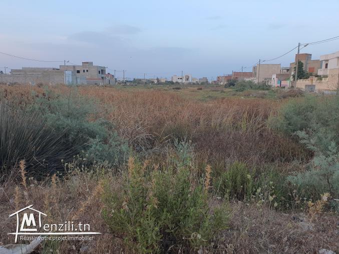 Terrain viabilisé  à raoued plage