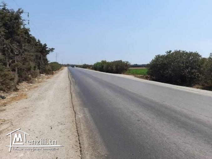  أرض للبيع تبتعد حوالي 5 دقائق على بحر دار علوش و الزهرا�...