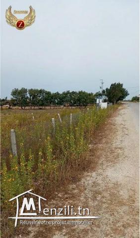 A vendre terrain à 6 min vers kélibia 