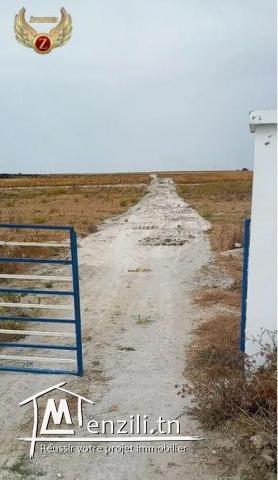 A vendre terrain à 6 min vers kélibia 