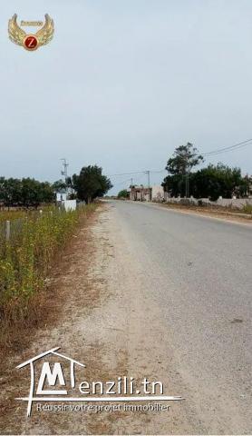 A vendre terrain à 6 min vers kélibia 