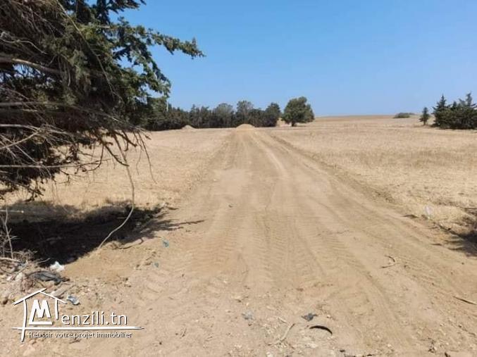 lotissement à dar allouche