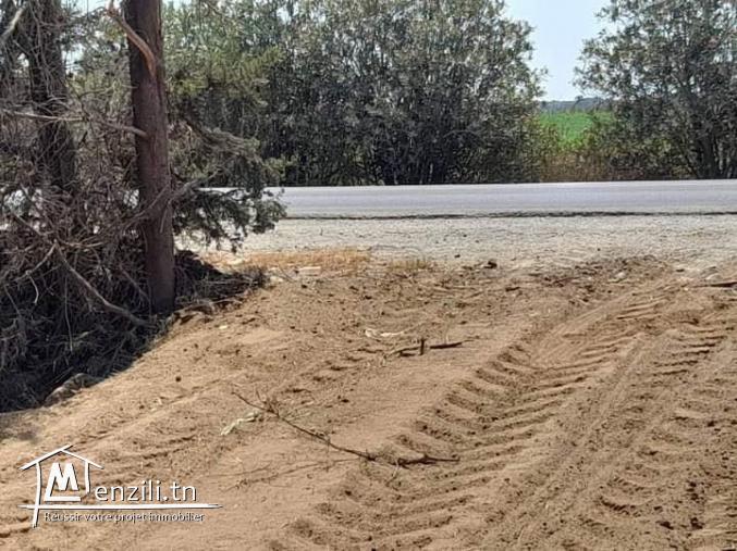 lotissement à dar allouche