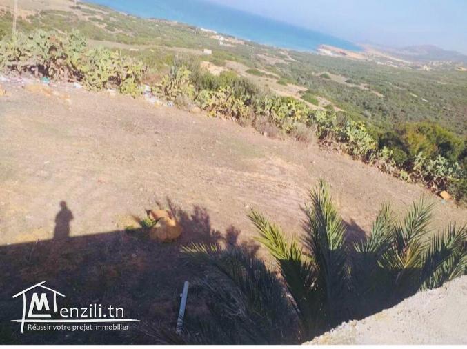 Lot terrain 3 hectares à houichette Dar janna bizerte