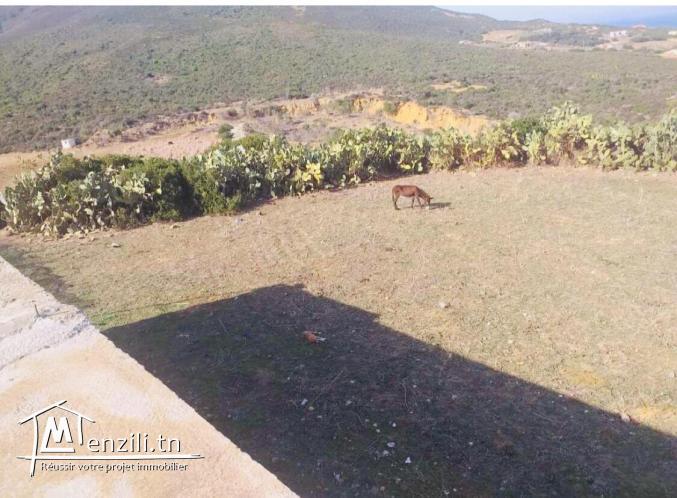 Lot terrain 3 hectares à houichette Dar janna bizerte