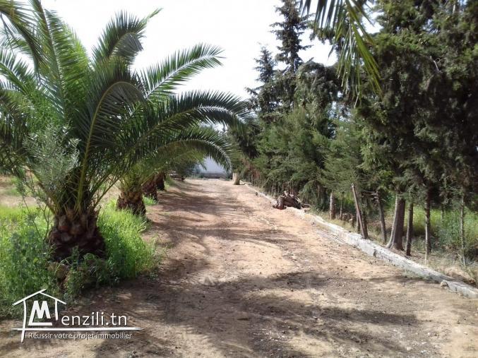 Petite ferme de surface 5000 mètres carrés