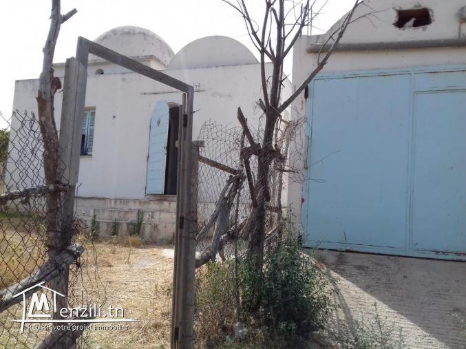 Petite ferme de surface 5000 mètres carrés