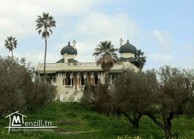 château de 1897 avec 43 hectares d'oliviers irrigués