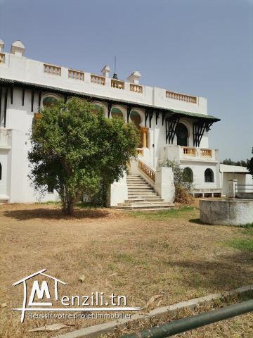 château de 1897 avec 43 hectares d'oliviers irrigués