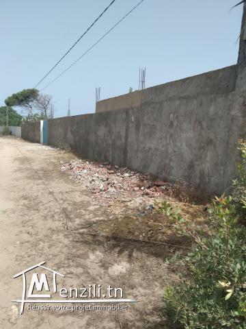 lotissement terrain à hammem leghzez