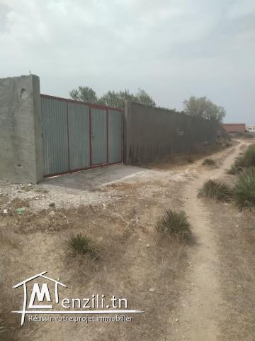 lotissement terrain à hammem leghzez