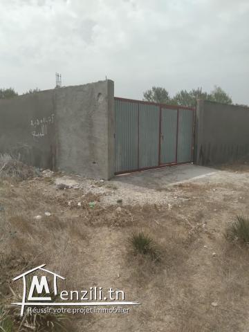 lotissement terrain à hammem leghzez