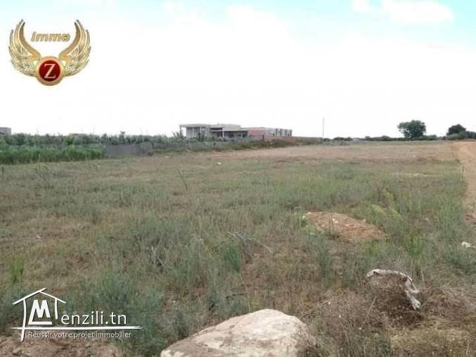 lotissement terrain à dar allouche