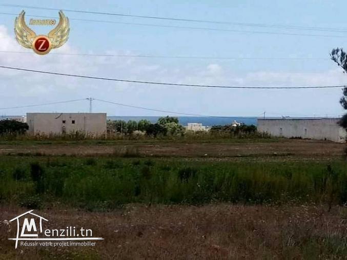 lotissement terrain à dar allouche