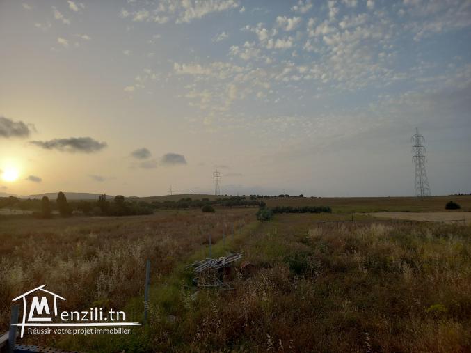 Villa en pleinne nature