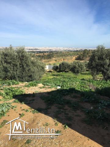 اراضي للبيع بحدائق المنزه2  (600 500 595  460  200 400 324 350 ) م2