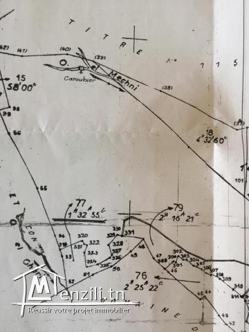 Terrain (2200m2) à vendre à Ennasr