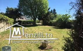 Senia (4ha) à Chabbaou à vendre