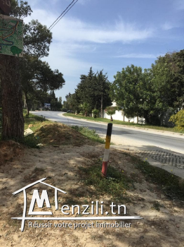Terrain (1000 et 7000 m2) à vendre à Mannouba (Sanhaja)