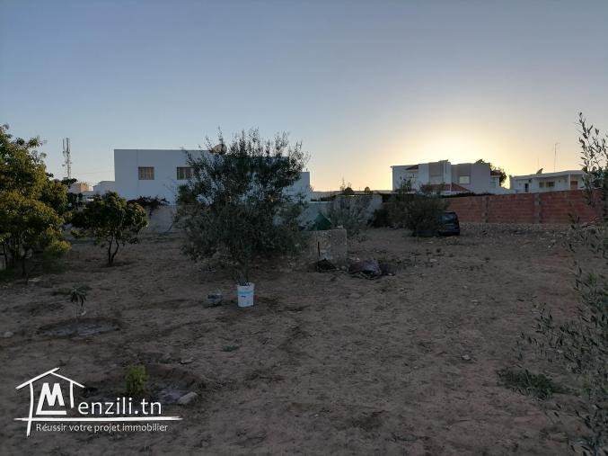 Ancienne maison et studio sûr un grand terrain 2km à sfax