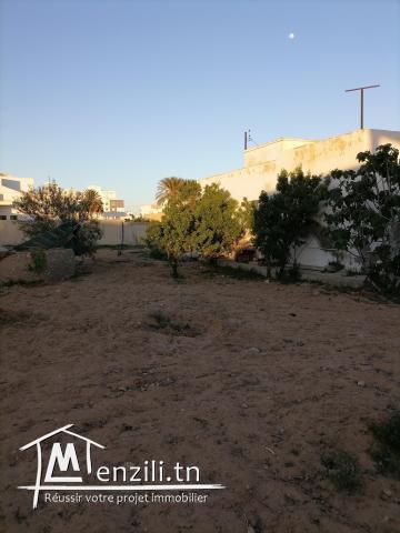 Ancienne maison et studio sûr un grand terrain 2km à sfax