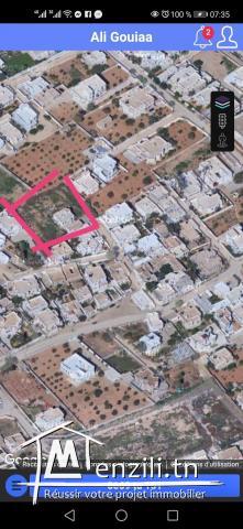 Ancienne maison et studio sûr un grand terrain 2km à sfax