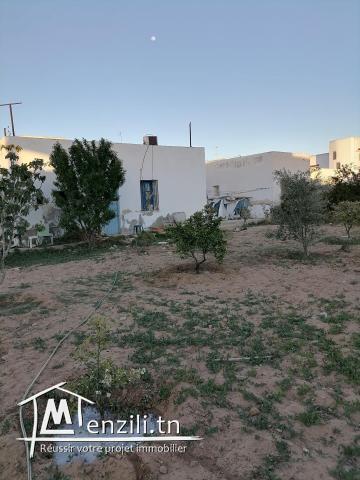 Ancienne maison et studio sûr un grand terrain 2km à sfax