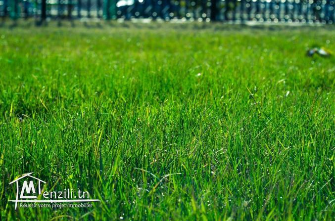 RDC DE VILLA AVEC JARDIN ET PICINE