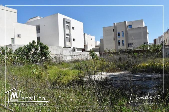 Vente d'un terrain viabilisé, qui sis à Ain Zaghouen